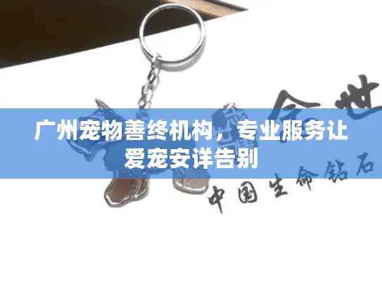 广州宠物善终机构,专业服务让爱宠安详告别 广州宠物善终机构,专业服务让爱宠安详告别