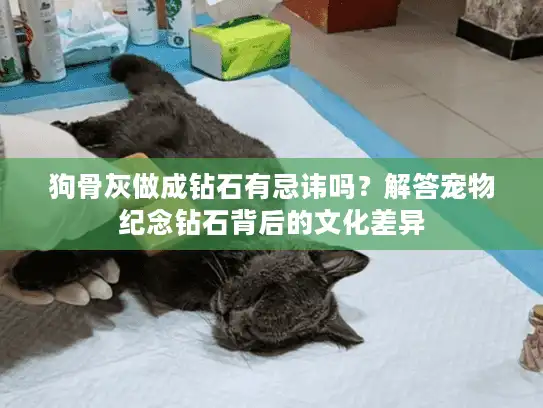 狗骨灰做成钻石有忌讳吗？解答宠物纪念钻石背后的文化差异