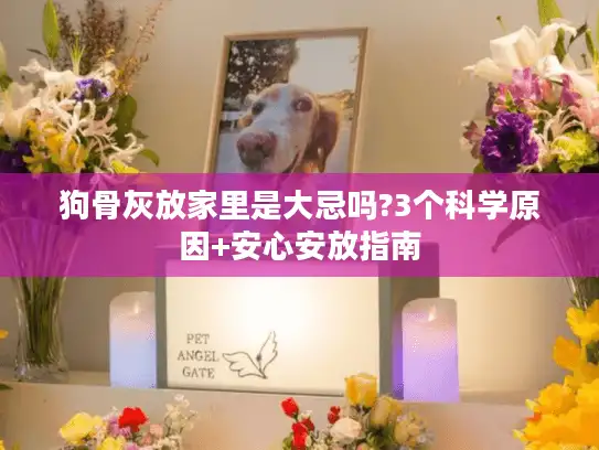 狗骨灰放家里是大忌吗?3个科学原因+安心安放指南