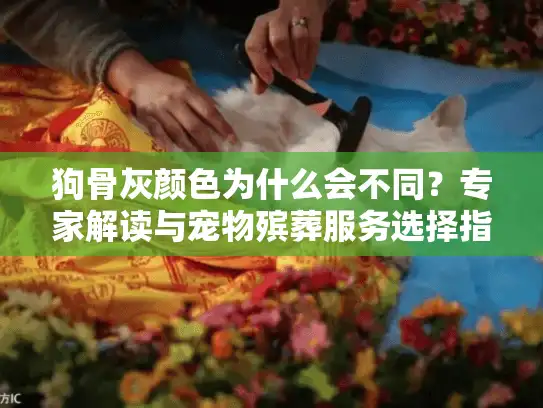 狗骨灰颜色为什么会不同？专家解读与宠物殡葬服务选择指南