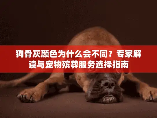 狗骨灰颜色为什么会不同？专家解读与宠物殡葬服务选择指南