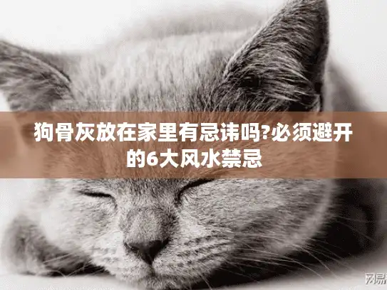 狗骨灰放在家里有忌讳吗?必须避开的6大风水禁忌