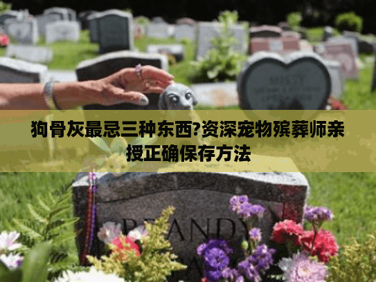狗骨灰最忌三种东西?资深宠物殡葬师亲授正确保存方法