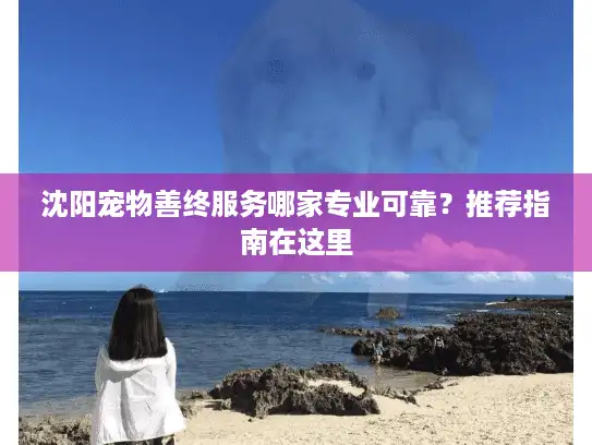 沈阳宠物善终服务哪家专业可靠？推荐指南在这里