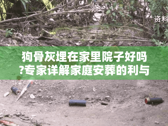 狗骨灰埋在家里院子好吗?专家详解家庭安葬的利与弊