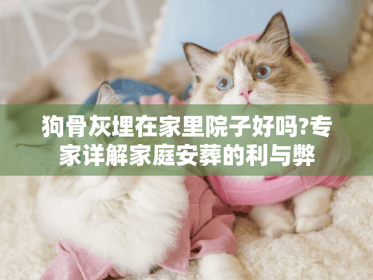 狗骨灰埋在家里院子好吗?专家详解家庭安葬的利与弊