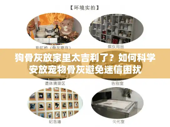 狗骨灰放家里太吉利了？如何科学安放宠物骨灰避免迷信困扰