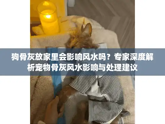 狗骨灰放家里会影响风水吗？专家深度解析宠物骨灰风水影响与处理建议