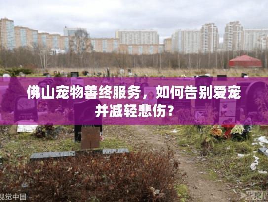 佛山宠物善终服务，如何告别爱宠并减轻悲伤？