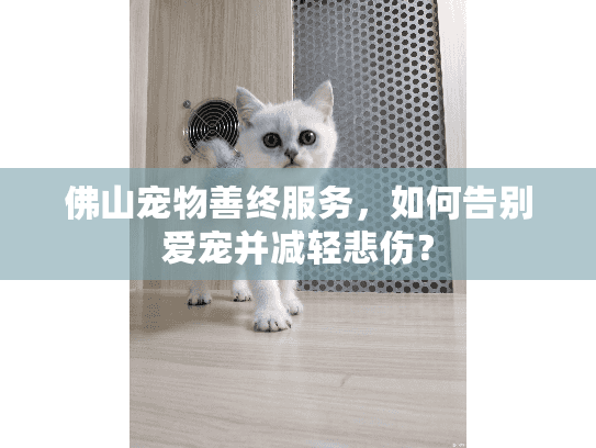 佛山宠物善终服务，如何告别爱宠并减轻悲伤？