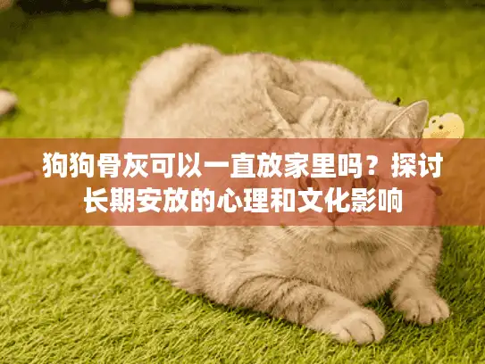 狗狗骨灰可以一直放家里吗?探讨长期安放的心理和文化影响 狗狗骨灰可以一直放家里吗?探讨长期安放的心理和文化影响