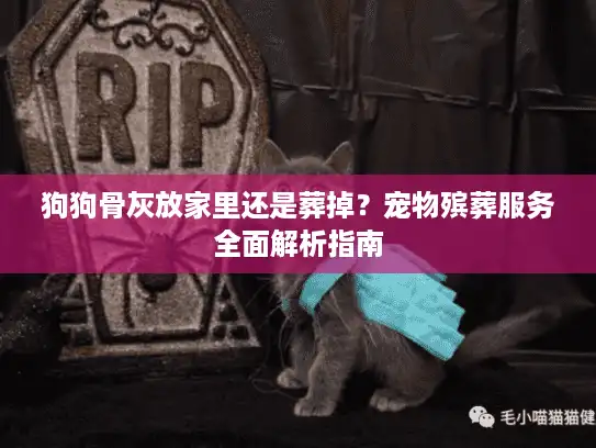 狗狗骨灰放家里还是葬掉？宠物殡葬服务全面解析指南