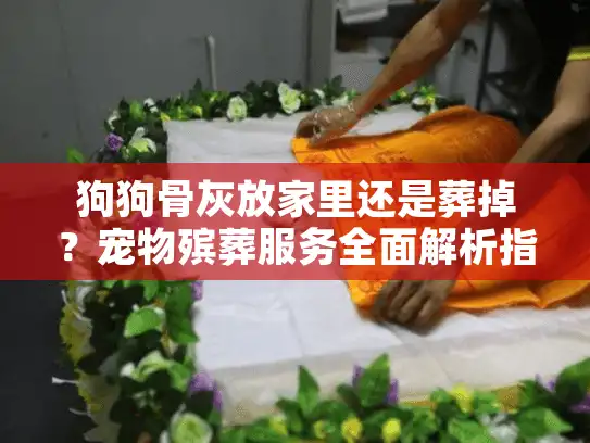 狗狗骨灰放家里还是葬掉？宠物殡葬服务全面解析指南