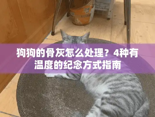 狗狗的骨灰怎么处理？4种有温度的纪念方式指南