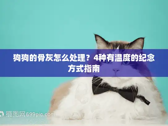 狗狗的骨灰怎么处理？4种有温度的纪念方式指南