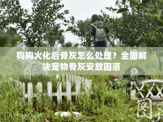 狗狗火化后骨灰怎么处理?全面解决宠物骨灰安放困惑 狗狗火化后骨灰怎么处理?全面解决宠物骨灰安放困惑