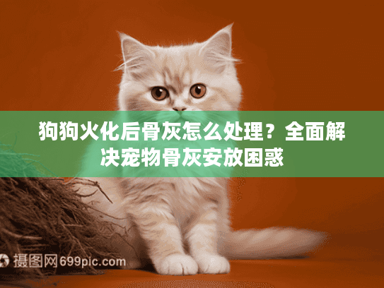 狗狗火化后骨灰怎么处理?全面解决宠物骨灰安放困惑 狗狗火化后骨灰怎么处理?全面解决宠物骨灰安放困惑
