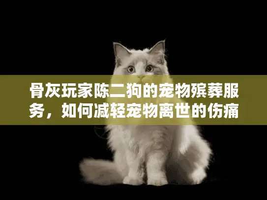 骨灰玩家陈二狗的宠物殡葬服务，如何减轻宠物离世的伤痛？