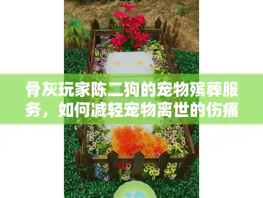 骨灰玩家陈二狗的宠物殡葬服务，如何减轻宠物离世的伤痛？