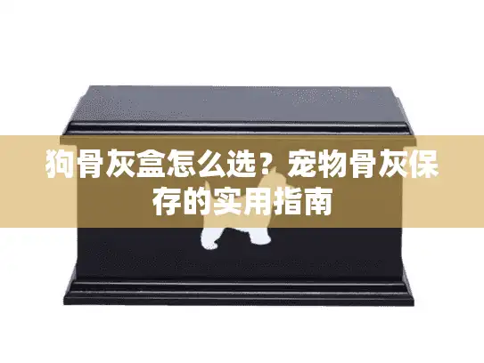 狗骨灰盒怎么选？宠物骨灰保存的实用指南