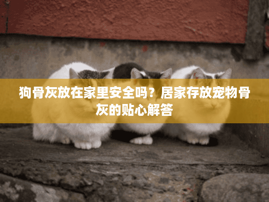 狗骨灰放在家里安全吗？居家存放宠物骨灰的贴心解答