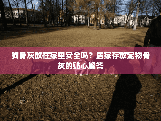 狗骨灰放在家里安全吗？居家存放宠物骨灰的贴心解答