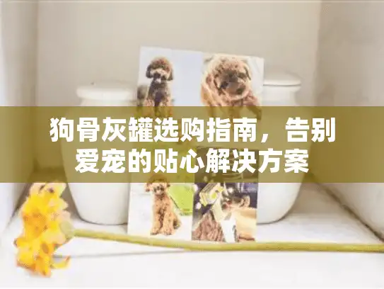 狗骨灰罐选购指南，告别爱宠的贴心解决方案