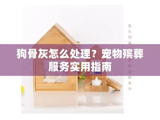 狗骨灰怎么处理？宠物殡葬服务实用指南