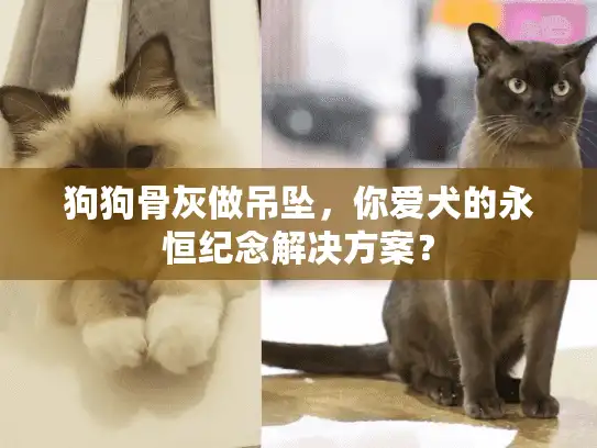狗狗骨灰做吊坠，你爱犬的永恒纪念解决方案？