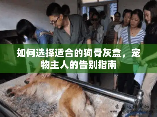 如何选择适合的狗骨灰盒，宠物主人的告别指南