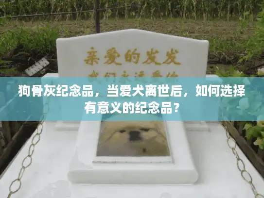 狗骨灰纪念品,当爱犬离世后,如何选择有意义的纪念品? 狗骨灰纪念品,当爱犬离世后,如何选择有意义的纪念品?