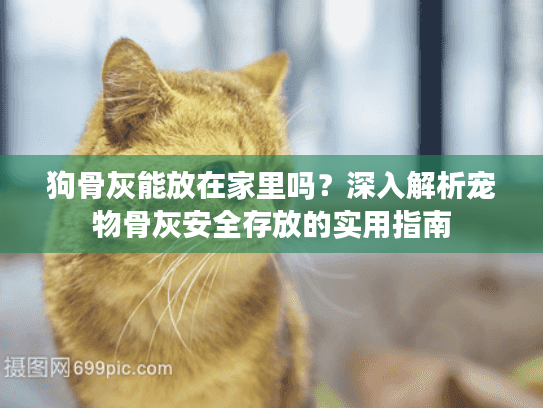 狗骨灰能放在家里吗？深入解析宠物骨灰安全存放的实用指南