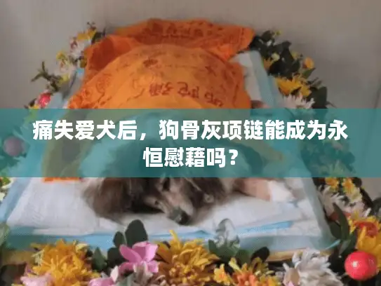 痛失爱犬后，狗骨灰项链能成为永恒慰藉吗？