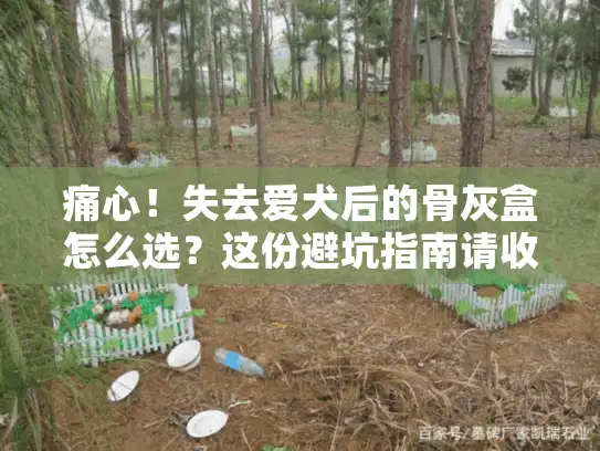 痛心!失去爱犬后的骨灰盒怎么选?这份避坑指南请收好 痛心!失去爱犬后的骨灰盒怎么选?这份避坑指南请收好