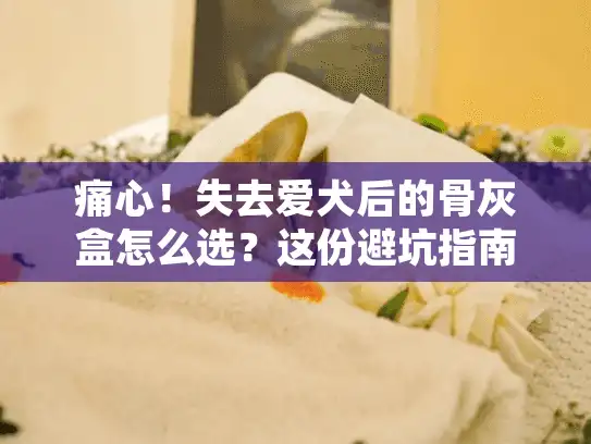 痛心!失去爱犬后的骨灰盒怎么选?这份避坑指南请收好 痛心!失去爱犬后的骨灰盒怎么选?这份避坑指南请收好