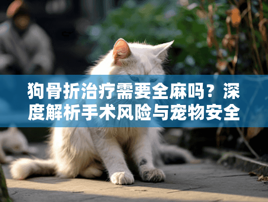 狗骨折治疗需要全麻吗？深度解析手术风险与宠物安全指南