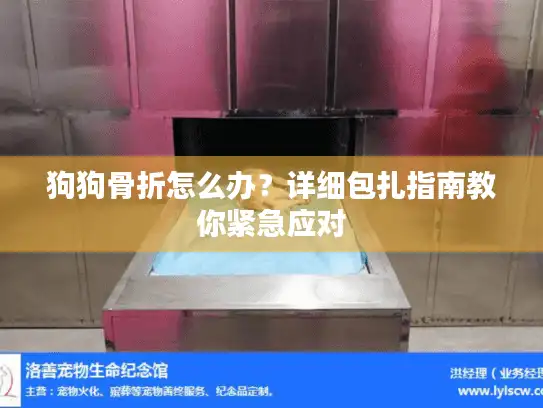 狗狗骨折怎么办？详细包扎指南教你紧急应对