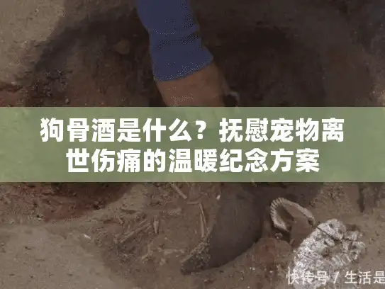 狗骨酒是什么？抚慰宠物离世伤痛的温暖纪念方案