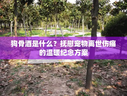 狗骨酒是什么？抚慰宠物离世伤痛的温暖纪念方案