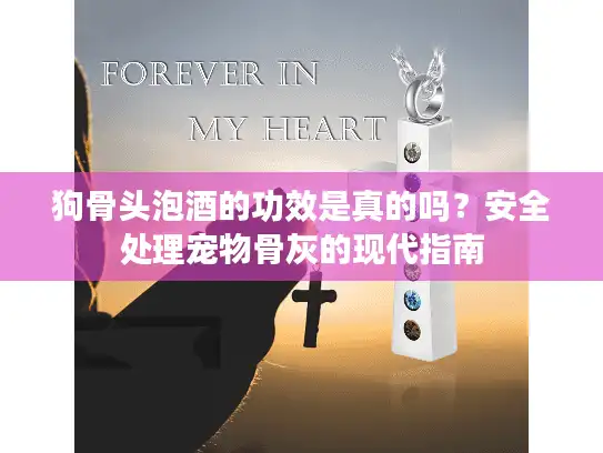 狗骨头泡酒的功效是真的吗？安全处理宠物骨灰的现代指南