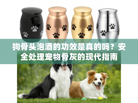 狗骨头泡酒的功效是真的吗？安全处理宠物骨灰的现代指南