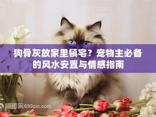 狗骨灰放家里镇宅？宠物主必备的风水安置与情感指南