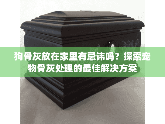 狗骨灰放在家里有忌讳吗？探索宠物骨灰处理的最佳解决方案