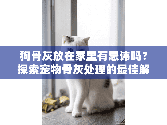 狗骨灰放在家里有忌讳吗？探索宠物骨灰处理的最佳解决方案