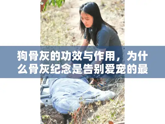 狗骨灰的功效与作用,为什么骨灰纪念是告别爱宠的最佳选择? 狗骨灰的功效与作用,为什么骨灰纪念是告别爱宠的最佳选择?