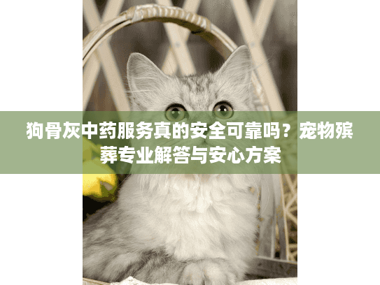 狗骨灰中药服务真的安全可靠吗？宠物殡葬专业解答与安心方案