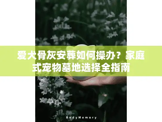 爱犬骨灰安葬如何操办？家庭式宠物墓地选择全指南