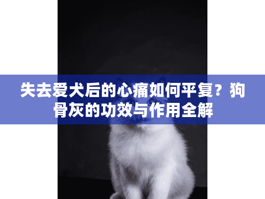 失去爱犬后的心痛如何平复？狗骨灰的功效与作用全解