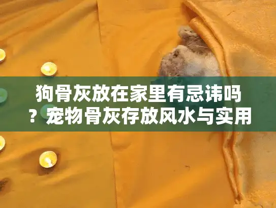 狗骨灰放在家里有忌讳吗？宠物骨灰存放风水与实用指南