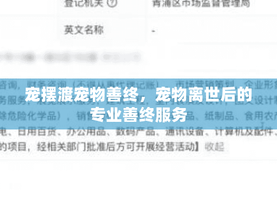 宠摆渡宠物善终，宠物离世后的专业善终服务